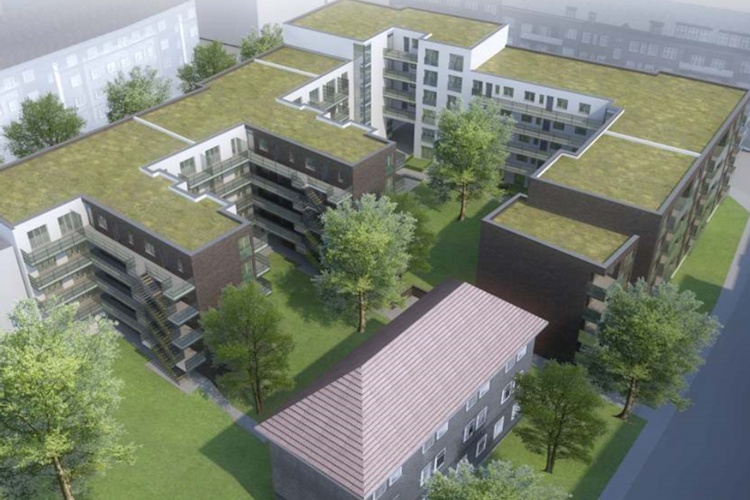 BLD_3923_2.jpg